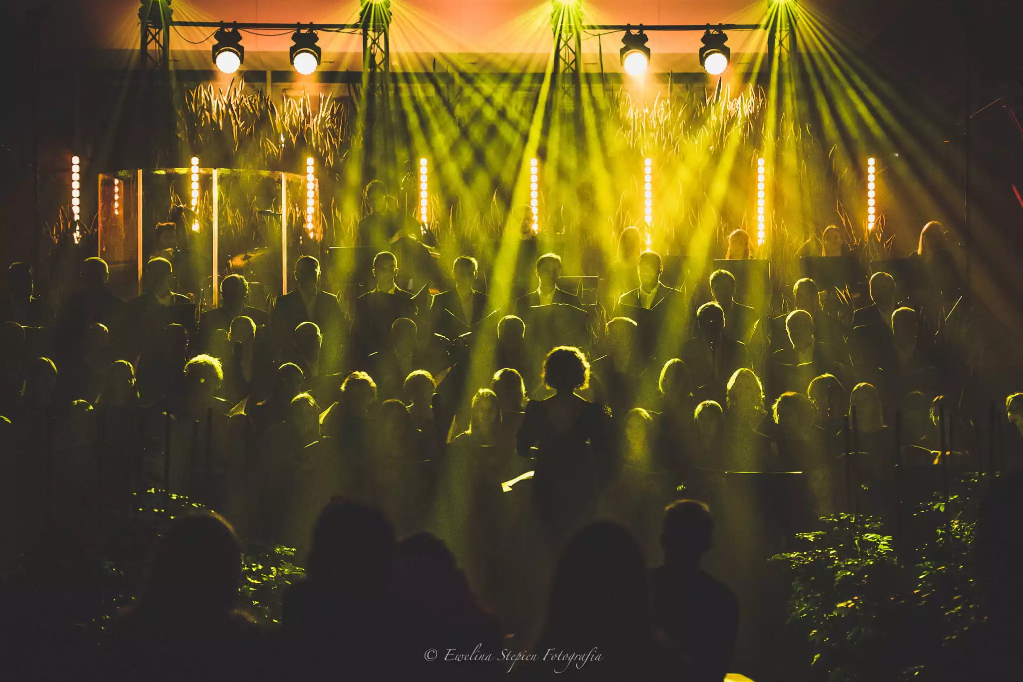 LedBar L1230V