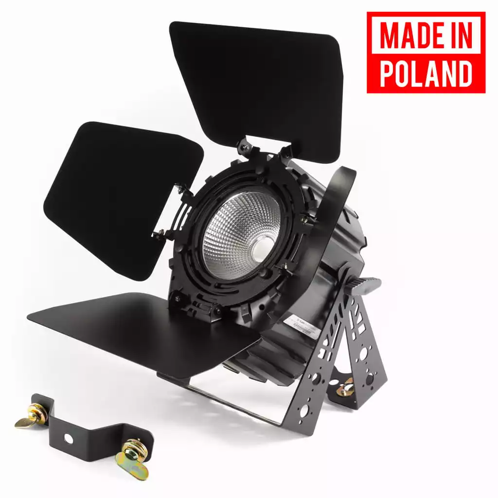 PAR64 LED P300 UV